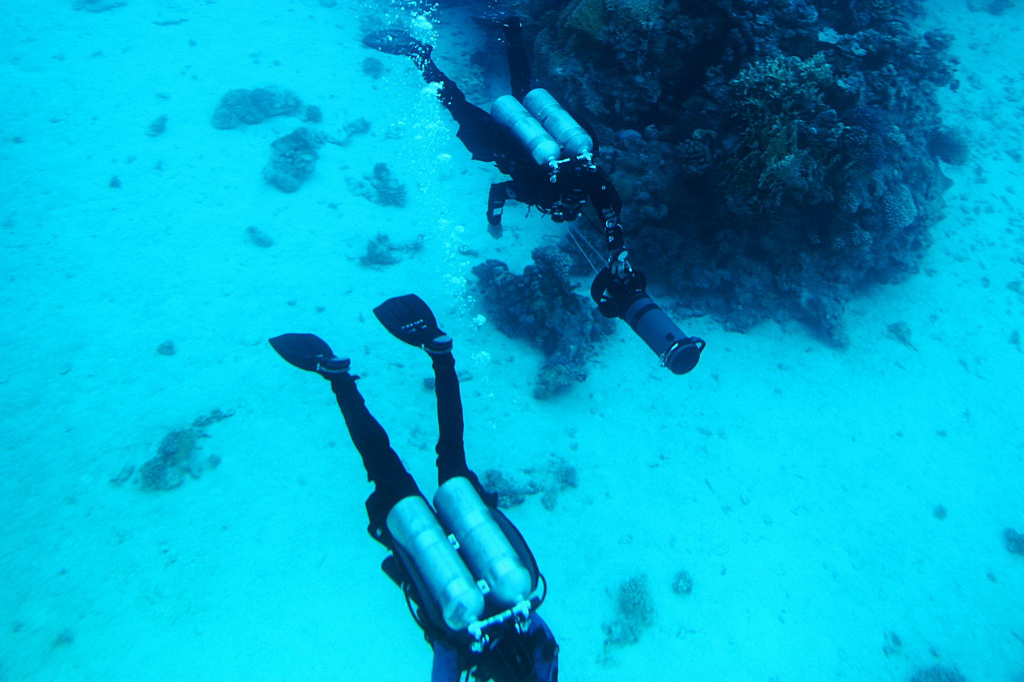 Scuba Diving in the Ocean