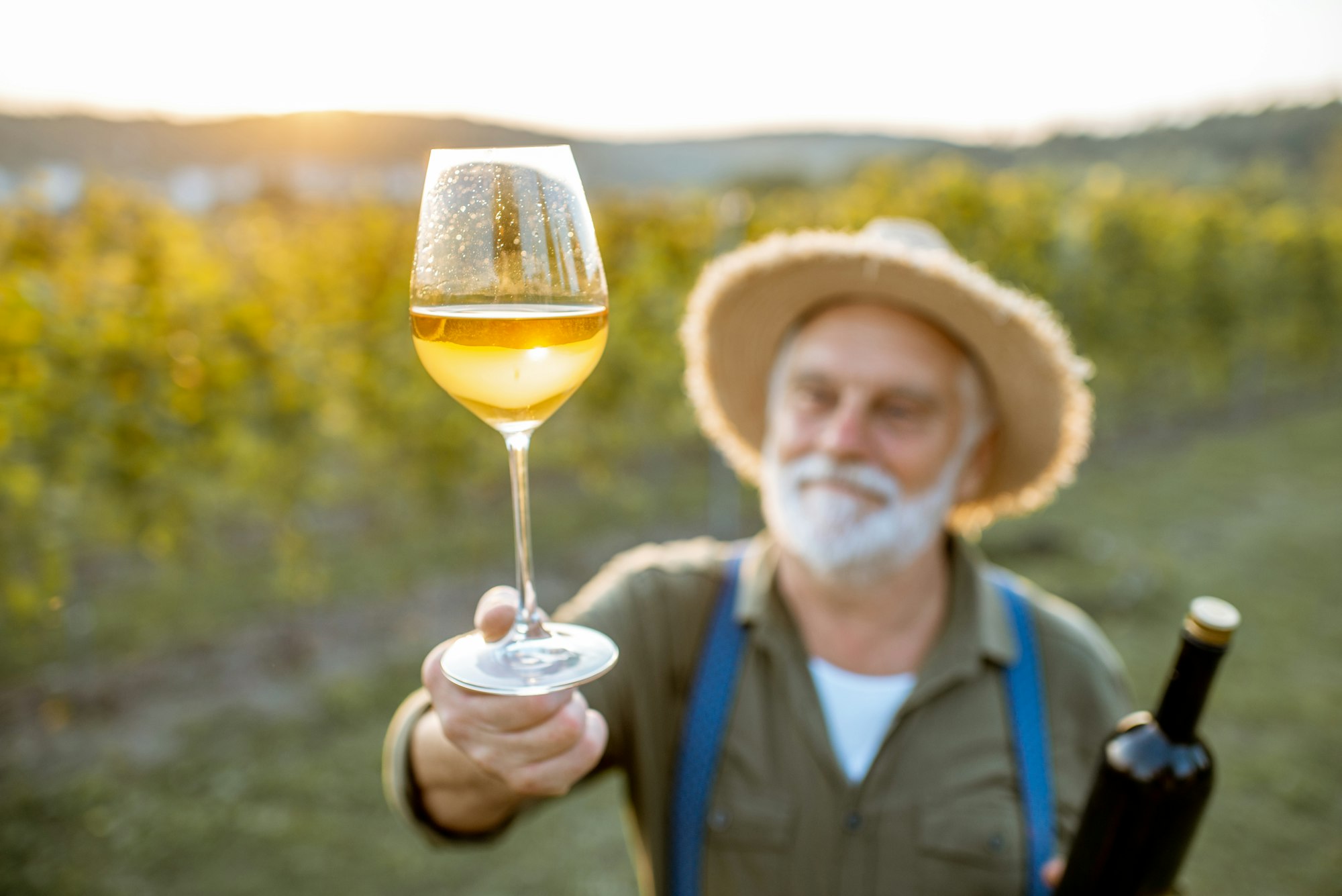 Senior winemaker tasting wine on the vineyard